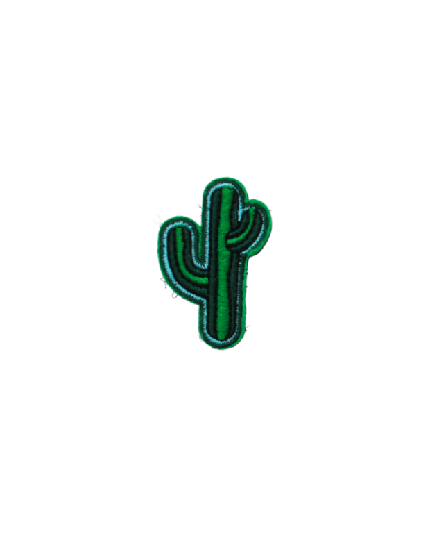 Cactus patch
