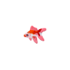 patch brodé poisson