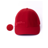 The All Over Pop Silicone like plastic Belt . Men and Women